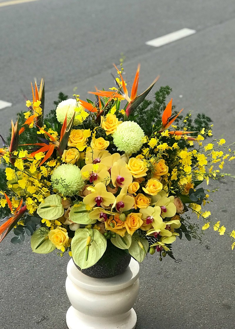 Chậu hoa khai trương