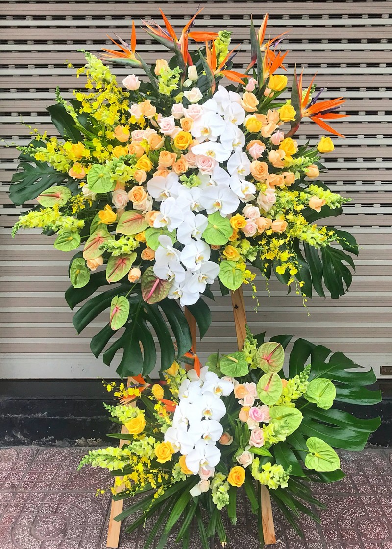 Kệ hoa hồng và lan hồ điệp 