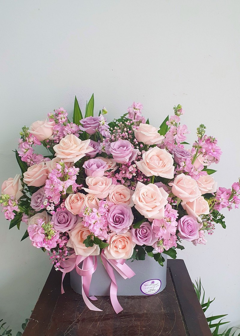 Hoa hồng và babi hà lan