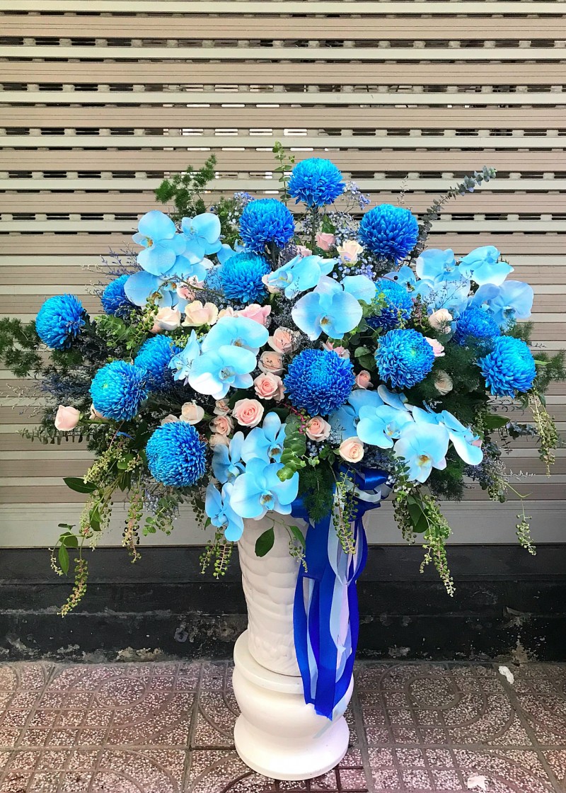 Chậu hoa hoàng tráng