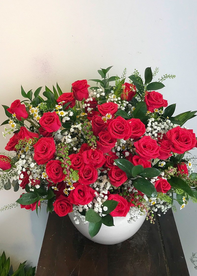 Chậu hoa hồng đỏ