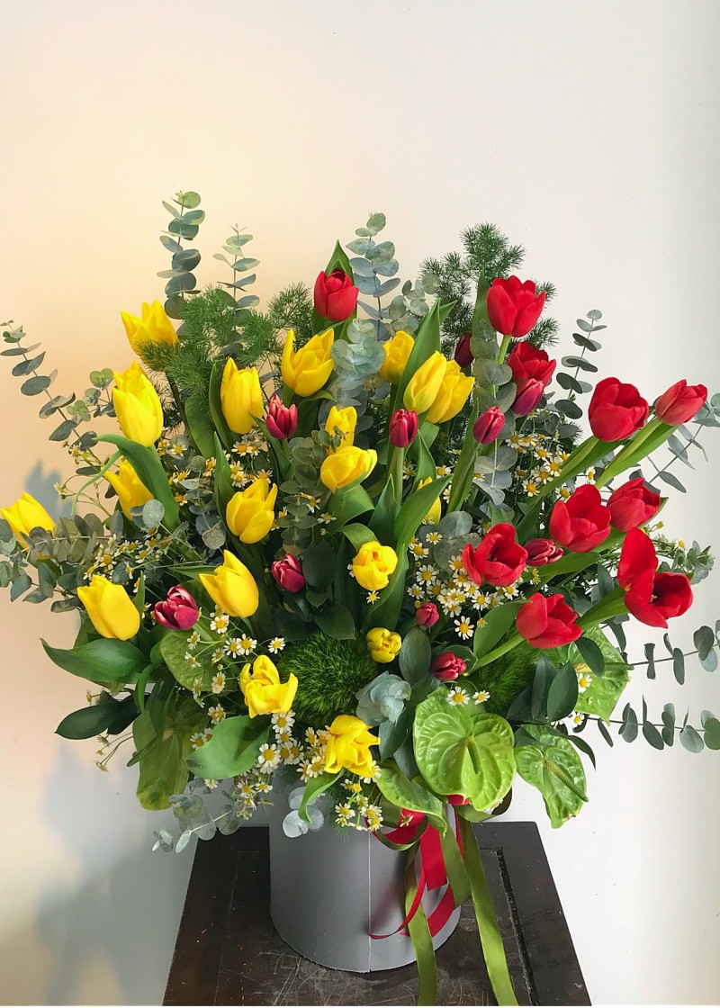 Tulip đỏ và vàng