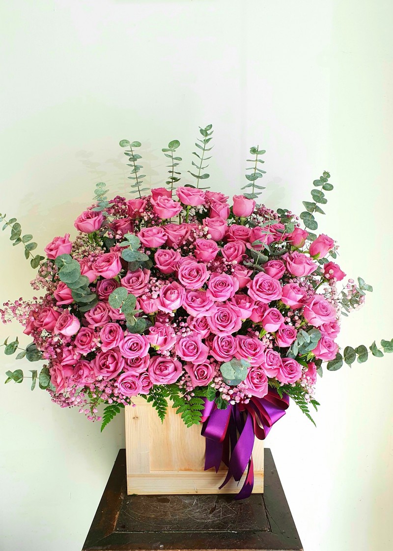 Chậu hoa hồng tím