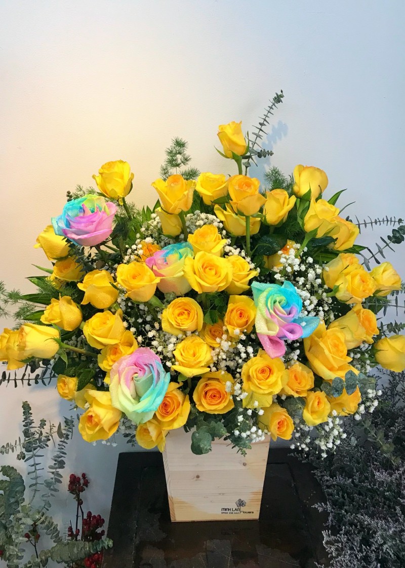 Chậu hoa hồng sắc màu