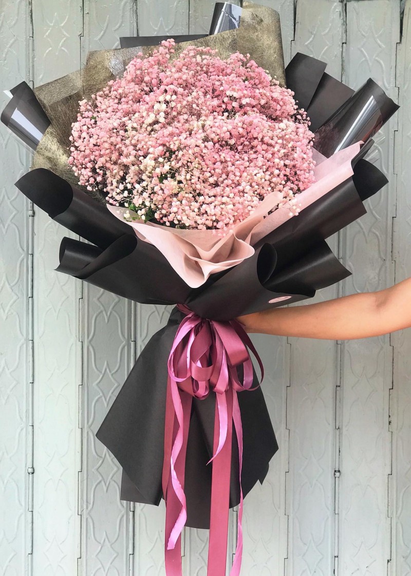 Bó Babi Hà Lan hồng