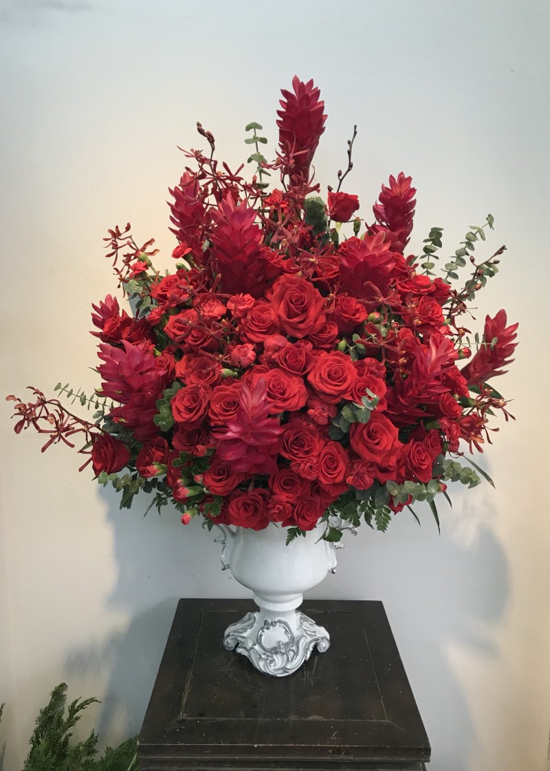 Chậu hoa hồng đỏ quyến rũ