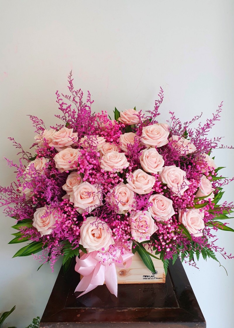 Chậu hoa hồng và babi hà lan