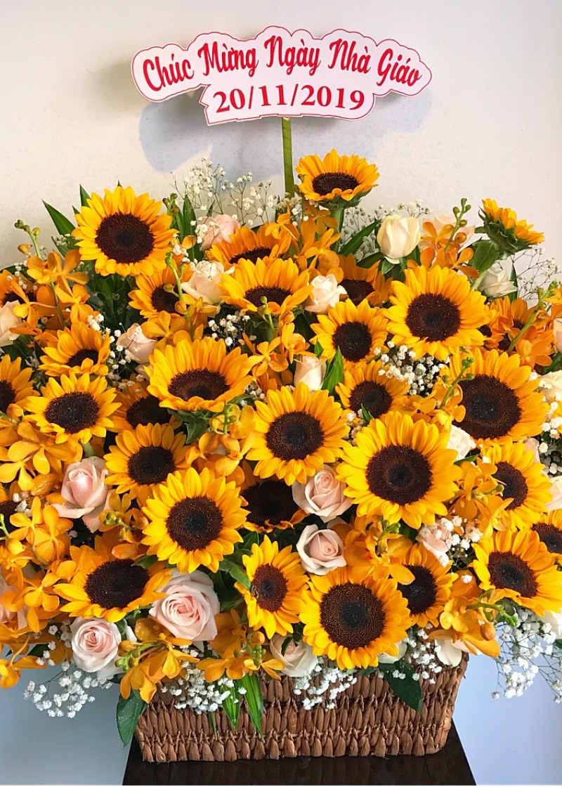 Giỏ hoa hướng dương khổng lồ
