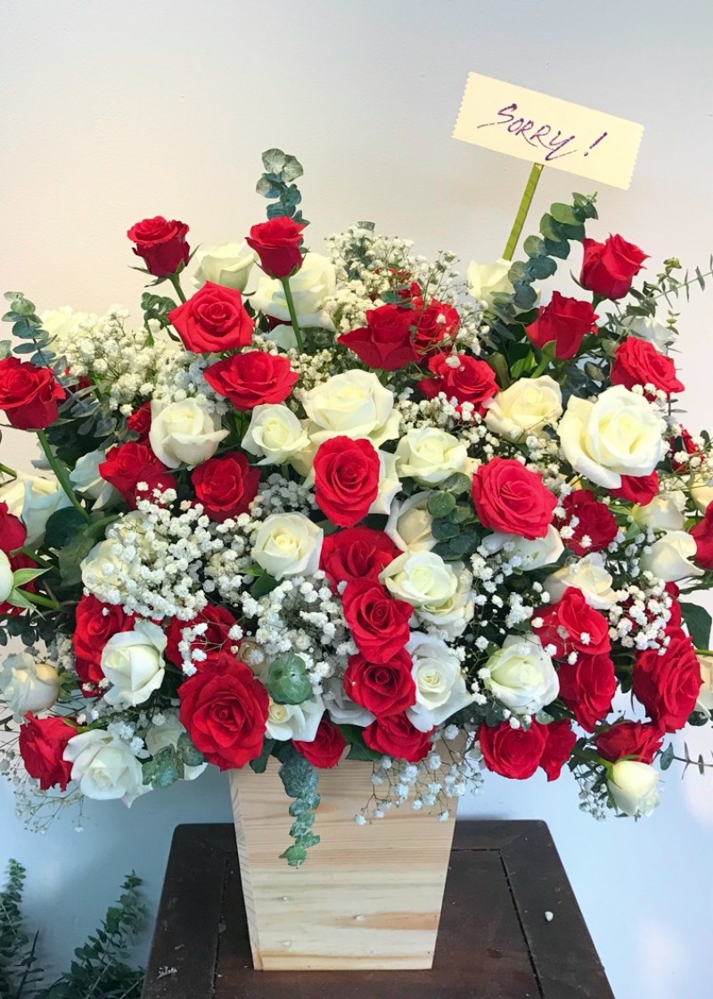 Chậu hoa hồng khổng lồ