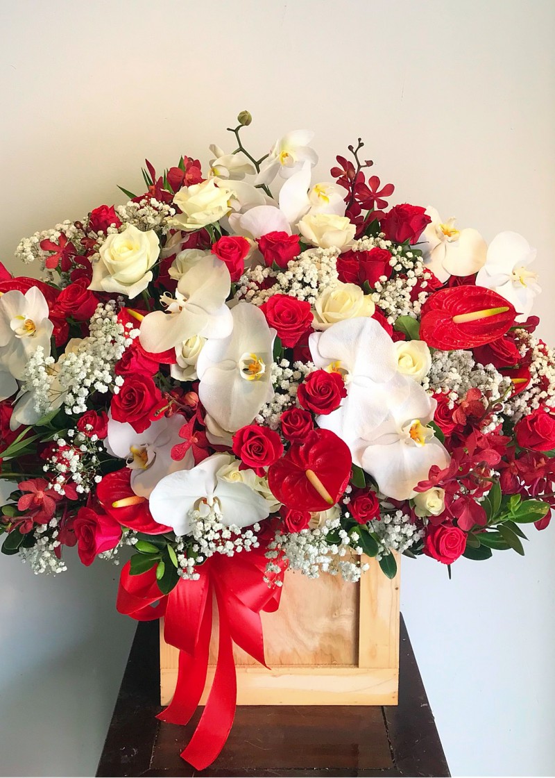 Chậu lan hồ điệp và hoa hồng