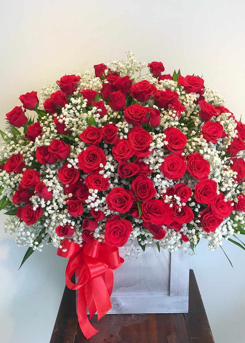 Chậu hoa hồng đỏ và babi hà lan