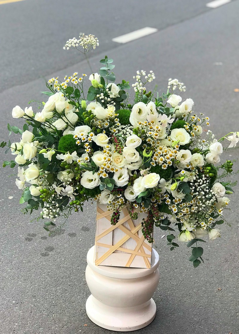 Hoa hồng trắng và cúc tana