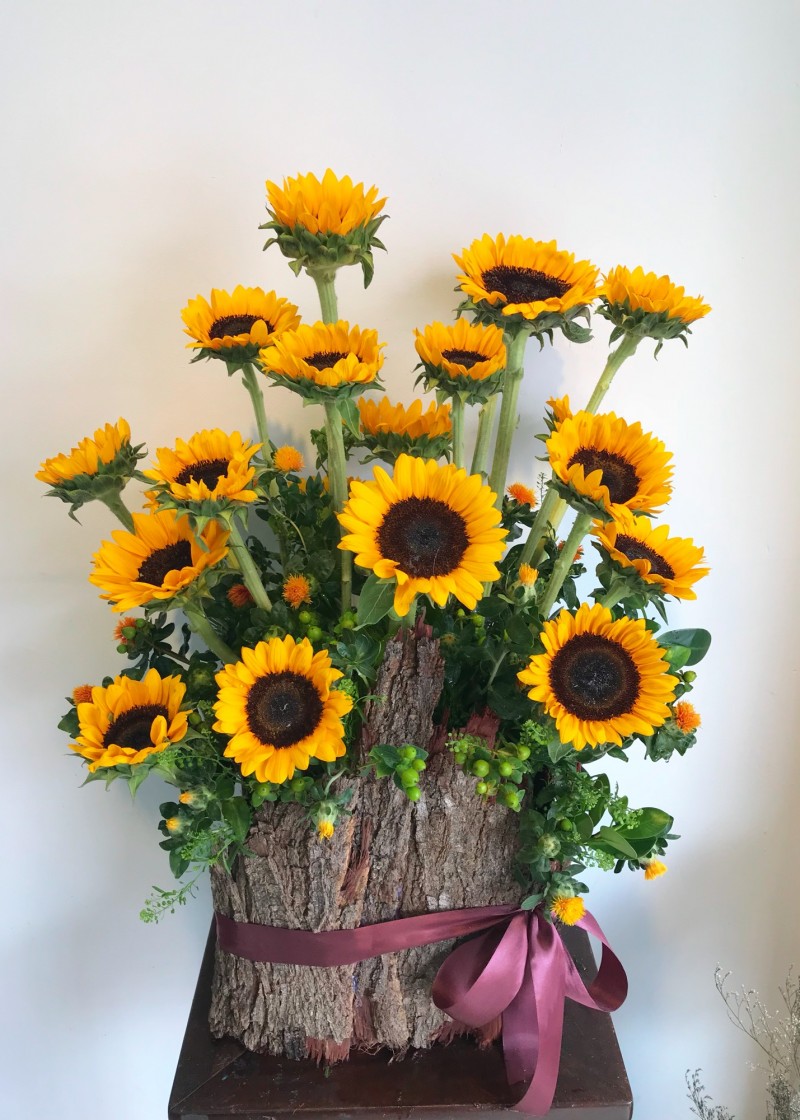 Vườn hướng dương