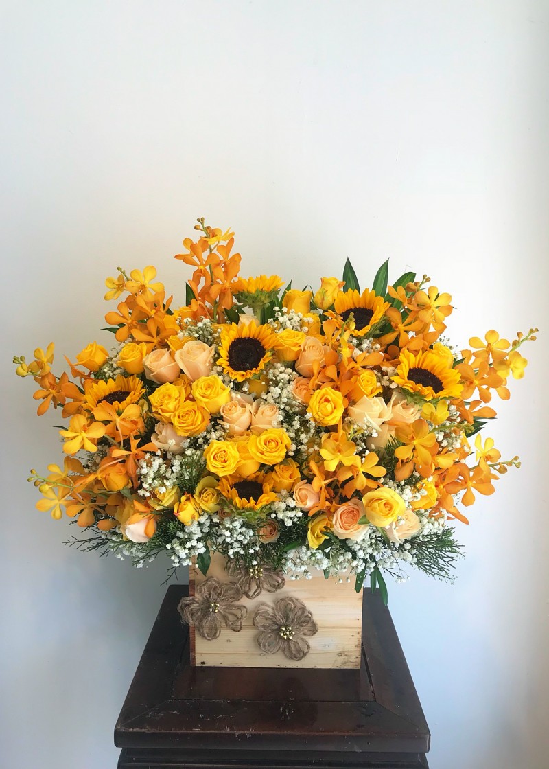 Chậu hoa tone vàng