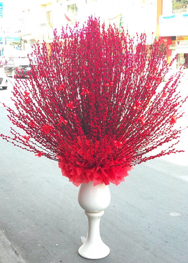 Nụ tầm xuân khổng lồ